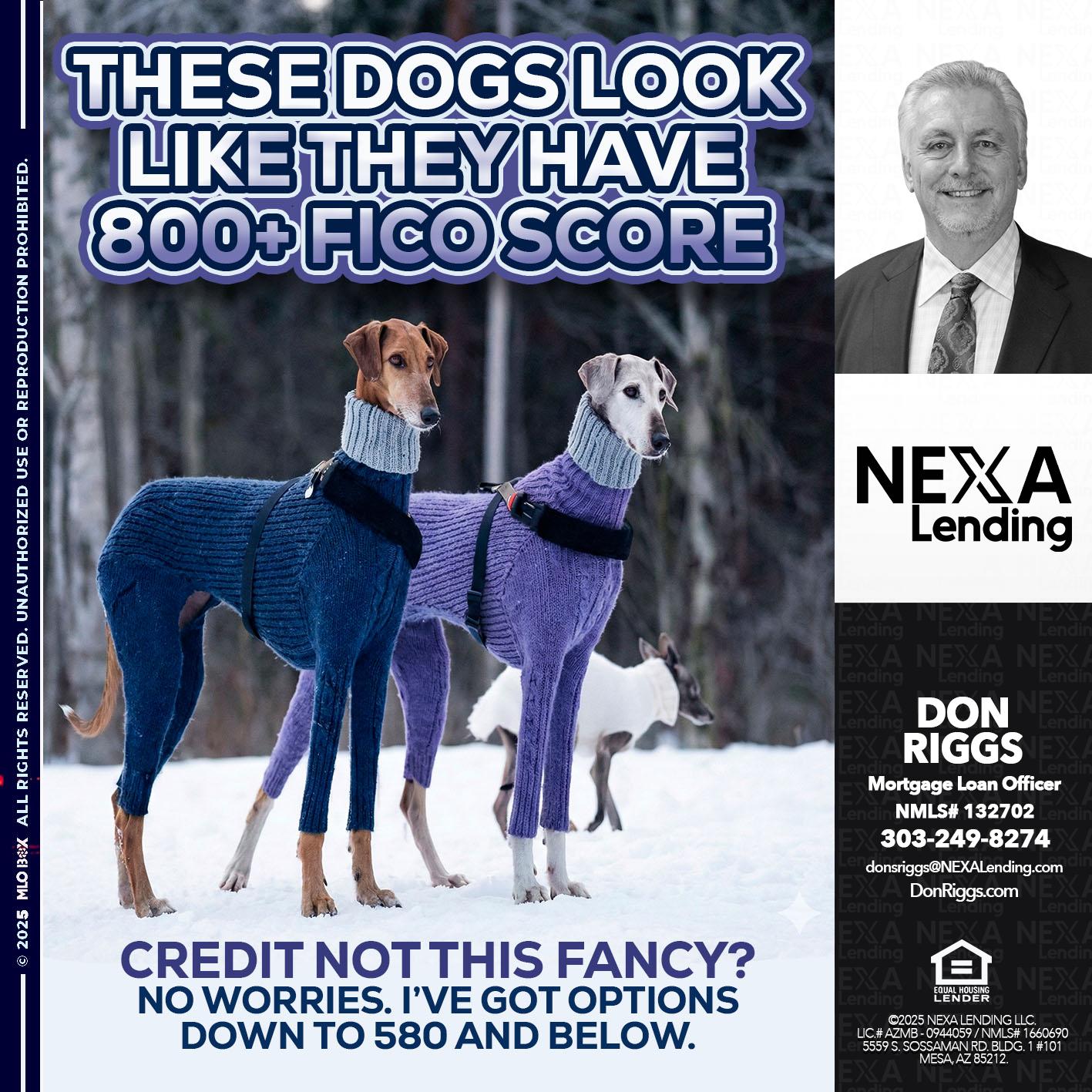 THESE DOGS LOOK - Don S Riggs -Sr. Loan Officer | Recruiter